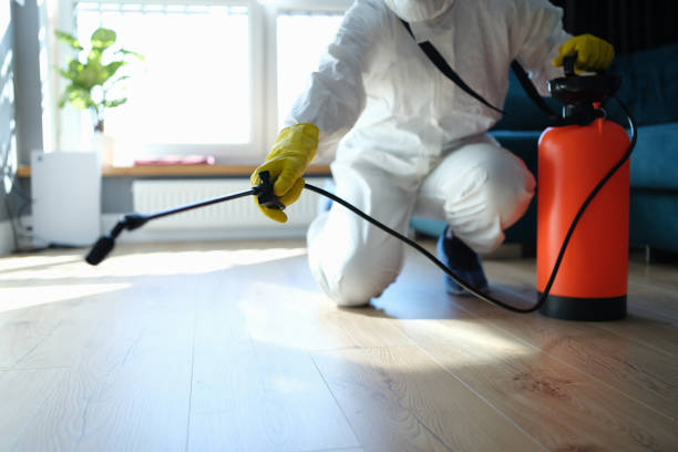 Reliable Hoarding Cleanup contractor in Plymouth, NH by Dulley Family Biohazard Services